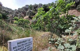 Paylaşmanın önemini gösteren yazı görenlerin...