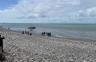 Sahilde 58 yaşındaki kadının cesedi bulundu