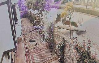 Sürücünün kontrolünden çıkan otomobil ağaca...