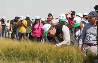 TİGEM’den bölge çiftçisini umutlandıran proje