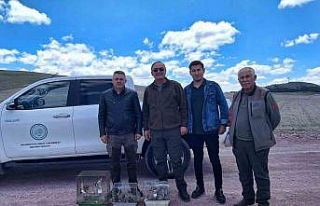 Yasa dışı olarak saka kuşu bulunduranlar yakalandı