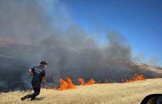 100 dönümlük alanda etkili anız yangını 4 saatte...