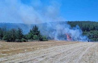 Alevler tarladan ormana sıçradı