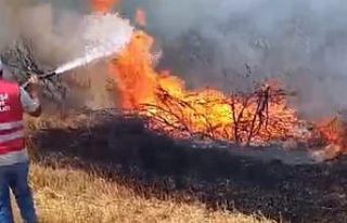 Anız yangını ormana sıçradı