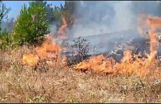 Anız yangını, ormana sıçramadan kontrol altına...