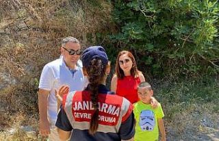 Aydın’da endemik türlere Jandarma koruması