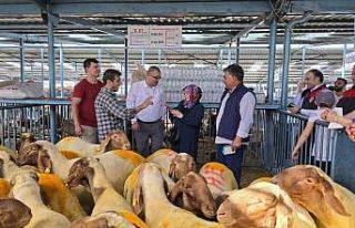 Belgesiz kurbanlıkların kente girişine izin verilmiyor