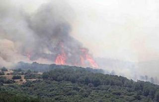 Biçerdöver kaynaklı yangın ormana sıçradı