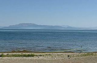 Bir ay içerisinde 14 adet el bombasının bulunduğu...