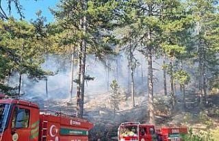 Bozdoğan Kaymakamlığı’ndan orman yangını uyarısı