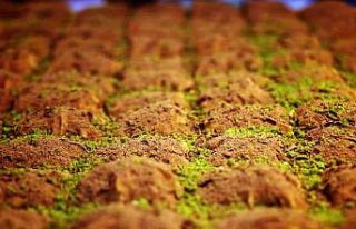 Bu bayram sporcusundan diyabet hastasına kadar herkes...