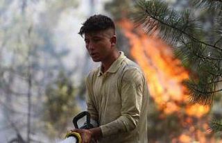 Bursa’da çıkan yangınlarda 490 futbol sahası...