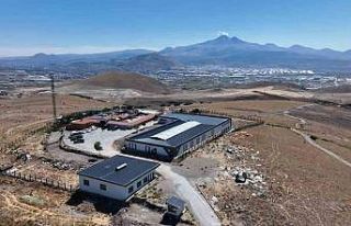 Büyükşehir 25 bin sokak hayvanına sahip çıktı