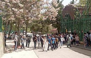 Büyükşehir’in müzeleri ve doğal yaşam parkı,...