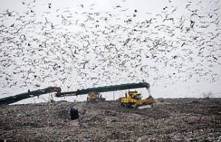 Dünya Çevre Günü: Samsun’da günde bin ton çöp...