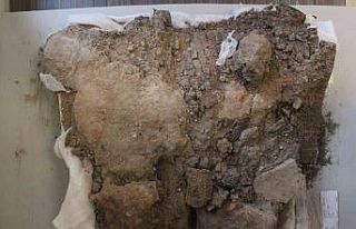 Dünyada tek örneği Türkiye’de bulunan bin 500...