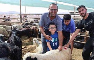 Elazığ’da bayramın son gününde kurbanlık alma...