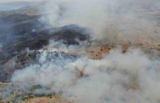 Elazığ’da orman yangınına havadan müdahale...