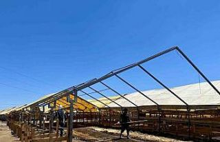 Esenyurt’ta kurban satış alanında temizlik seferberliği