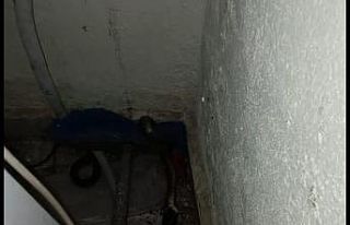 Eve giren yılanı itfaiye yakaladı