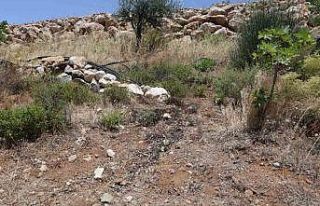 Her yerde aranıyordu, bahçesini sulayan vatandaşın...