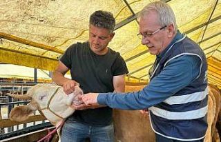 İhlas Vakfı Kurban Bayramı’nda faaliyetlerini...