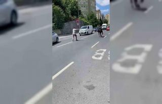 İstanbul’da kurbanlık dana firarda: Trafiği birbirine...