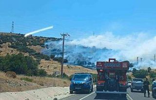 İzmir’de makilik  ve  otluk alanda yangın