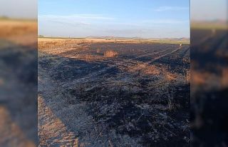 Karapınar’da buğday ekili tarla yandı