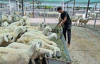 “Kayseri’de bir numara Talas Belediyesi”