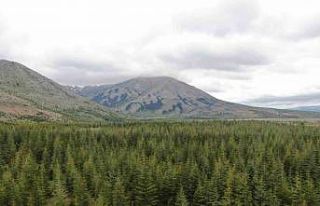 Kayseri’nin Belgrad’ı Berçin Ormanları