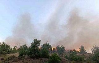 Kızılçam ormanında korkutan yangın