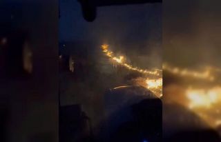 Konya’da elektrik akımına kapılan kuşlar yangına...