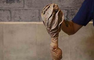 Kurban Bayramı sakatata yaradı, zam yok