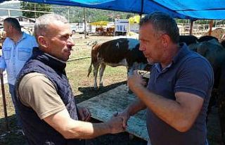 Kurban pazarlarında sıkı pazarlıklar başladı