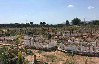 Mahkemeye taşınan mezarlıkla ilgili bilirkişi...