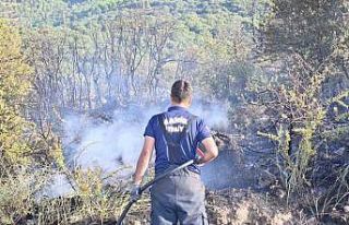 Manisa İtfaiyesinin yangınlarla mücadelesi devam...