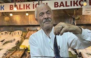 Marmara Denizi açıklarında uçan balık yakalandı