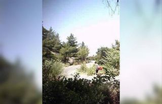 Milli parkta yurtdışına kaçma hazırlığı yaparken...