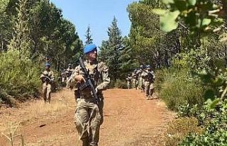 Muğla’da orman yangınlarına karşı önlemler...