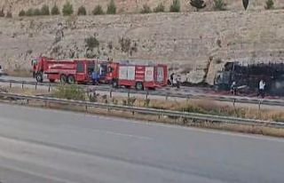 Palet yüklü tır küle döndü