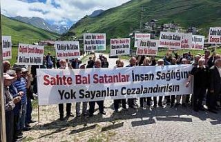Sahte Anzer balı için hukuki süreç başlatıldı