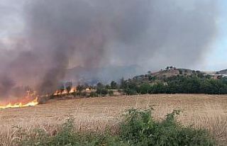 Saman yangınında hayvanlar tahliye edildi