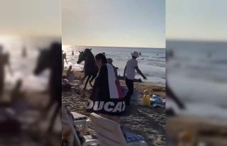 Şile plajına getirilen atlar insanların arasına...