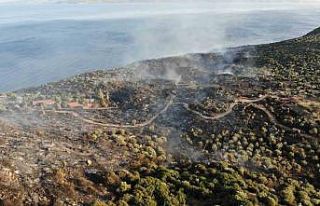 Tarihi tapınak bölgesinde 43 futbol sahası alan...