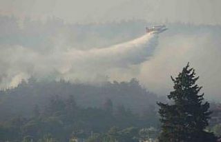 Tarım ve Orman Bakanı İbrahim Yumaklı: "Yangından...