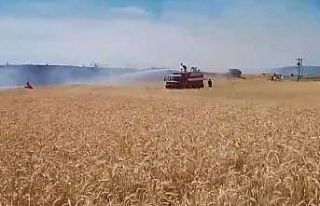 Tavşanlı’da ekili alanda çıkan yangın kısa...