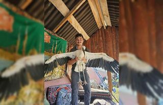 Yolda yaralı bulunan yavru leyleğe sahip çıkan...