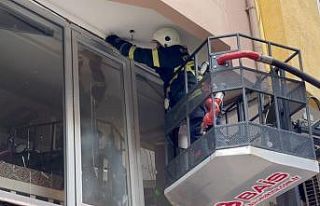 Yuvadan düşen yavru kırlangıca itfaiye yardımı