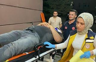 Aniden yola çıkan köpek kazaya neden oldu: 1 yaralı